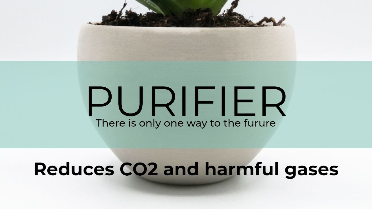 Imagen de la diapositiva